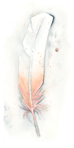 Image of a feather watercolor painting by Shayna Larsen, originals & prints available