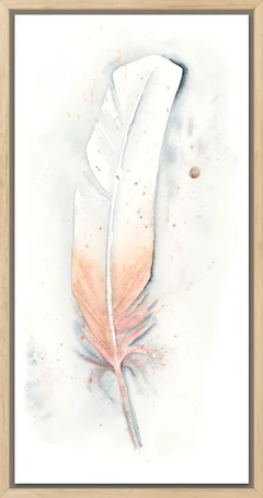 Image of a feather watercolor painting by Shayna Larsen, originals & prints available