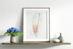 Image of a feather watercolor painting by Shayna Larsen, originals & prints available