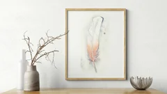 Image of a feather watercolor painting by Shayna Larsen, originals & prints available