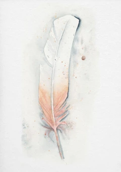 Image of a feather watercolor painting by Shayna Larsen, originals & prints available