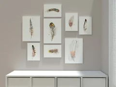 Image of a feather watercolor painting by Shayna Larsen, originals & prints available