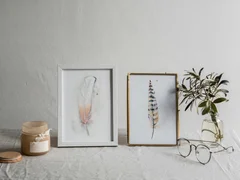 Image of a feather watercolor painting by Shayna Larsen, originals & prints available