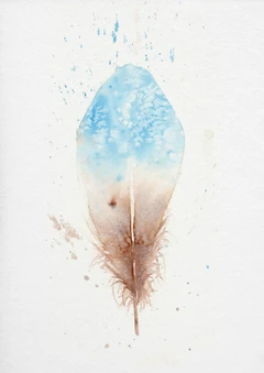 Image of a feather watercolor painting by Shayna Larsen, originals & prints available