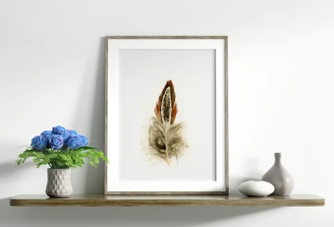 Image of a feather watercolor painting by Shayna Larsen, originals & prints available