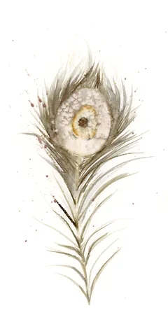 Image of a feather watercolor painting by Shayna Larsen, originals & prints available