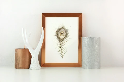 Image of a feather watercolor painting by Shayna Larsen, originals & prints available
