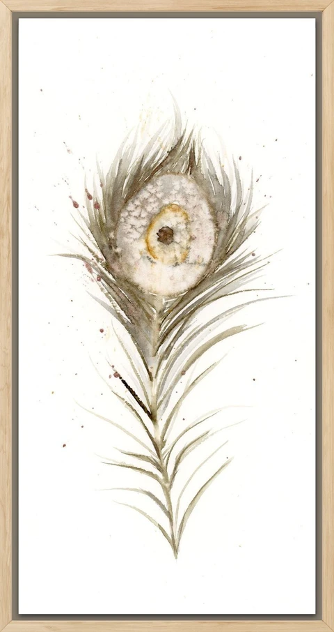 Image of a feather watercolor painting by Shayna Larsen, originals & prints available