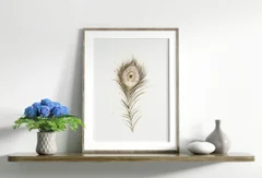 Image of a feather watercolor painting by Shayna Larsen, originals & prints available