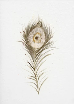 Image of a feather watercolor painting by Shayna Larsen, originals & prints available