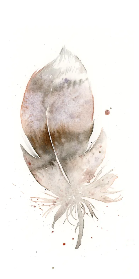 Image of a feather watercolor painting by Shayna Larsen, originals & prints available