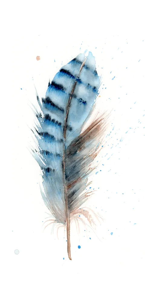 Image of a feather watercolor painting by Shayna Larsen, originals & prints available