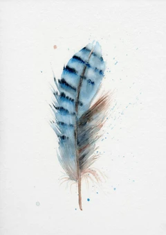 Image of a feather watercolor painting by Shayna Larsen, originals & prints available