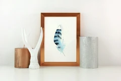 Image of a feather watercolor painting by Shayna Larsen, originals & prints available