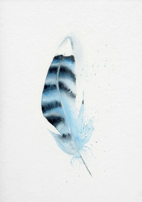 Image of a feather watercolor painting by Shayna Larsen, originals & prints available