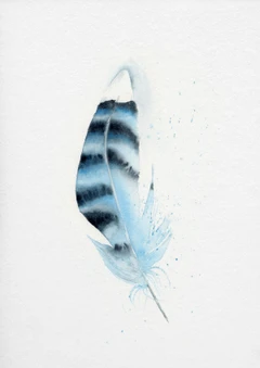 Image of a feather watercolor painting by Shayna Larsen, originals & prints available