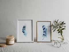 Image of a feather watercolor painting by Shayna Larsen, originals & prints available