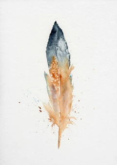 Image of a feather watercolor painting by Shayna Larsen, originals & prints available