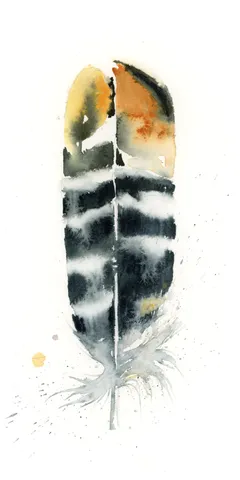 Image of a feather watercolor painting by Shayna Larsen, originals & prints available