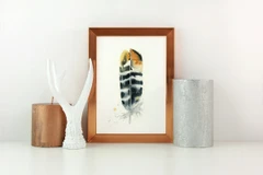 Image of a feather watercolor painting by Shayna Larsen, originals & prints available