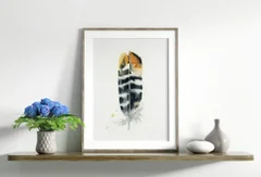 Image of a feather watercolor painting by Shayna Larsen, originals & prints available