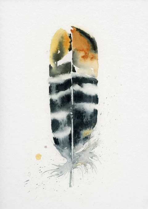 Image of a feather watercolor painting by Shayna Larsen, originals & prints available