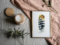 Image of a feather watercolor painting by Shayna Larsen, originals & prints available