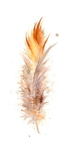 Image of a feather watercolor painting by Shayna Larsen, originals & prints available