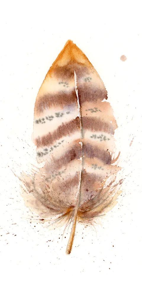 Image of a feather watercolor painting by Shayna Larsen, originals & prints available