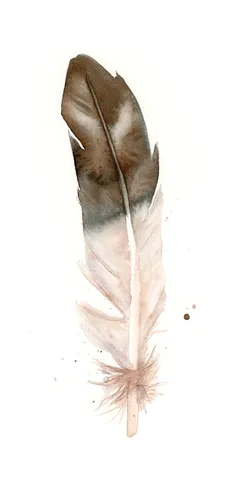 Image of a feather watercolor painting by Shayna Larsen, originals & prints available