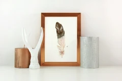 Image of a feather watercolor painting by Shayna Larsen, originals & prints available