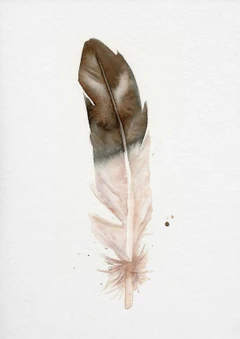 Image of a feather watercolor painting by Shayna Larsen, originals & prints available