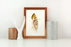Image of a feather watercolor painting by Shayna Larsen, originals & prints available
