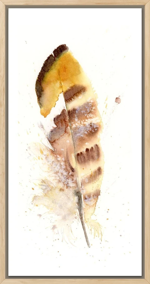 Image of a feather watercolor painting by Shayna Larsen, originals & prints available