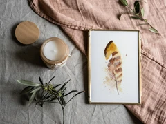 Image of a feather watercolor painting by Shayna Larsen, originals & prints available