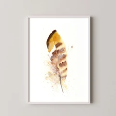 Image of a feather watercolor painting by Shayna Larsen, originals & prints available