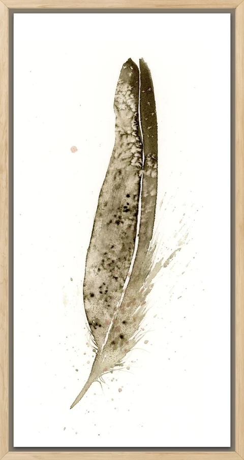 Image of a feather watercolor painting by Shayna Larsen, originals & prints available