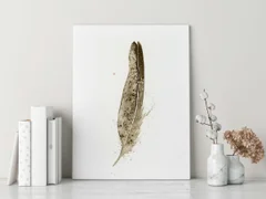 Image of a feather watercolor painting by Shayna Larsen, originals & prints available