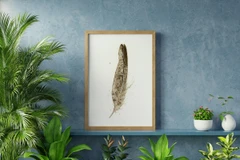 Image of a feather watercolor painting by Shayna Larsen, originals & prints available