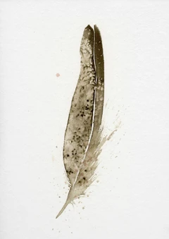Image of a feather watercolor painting by Shayna Larsen, originals & prints available