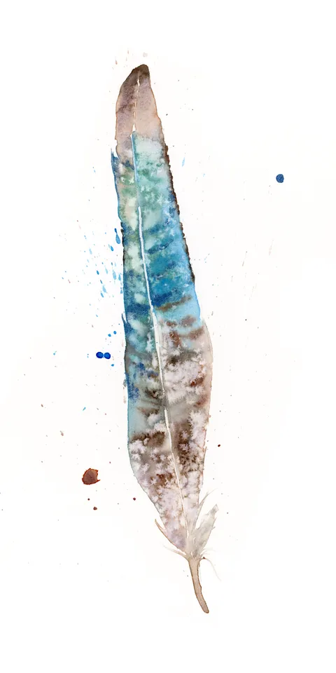 Image of a feather watercolor painting by Shayna Larsen, originals & prints available