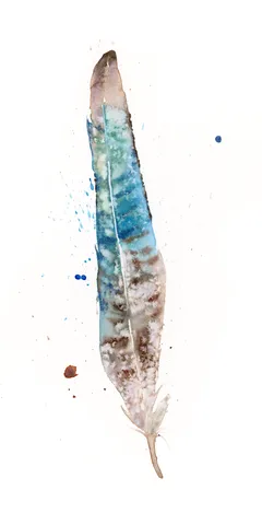 Image of a feather watercolor painting by Shayna Larsen, originals & prints available