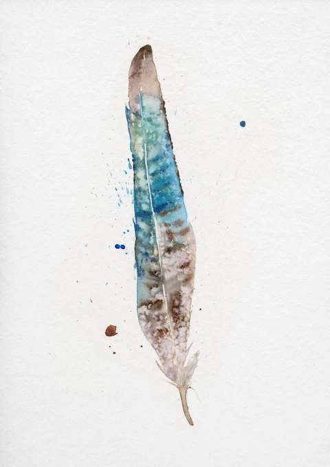 Image of a feather watercolor painting by Shayna Larsen, originals & prints available