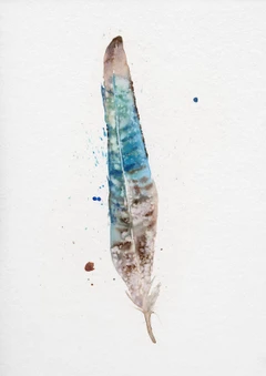 Image of a feather watercolor painting by Shayna Larsen, originals & prints available