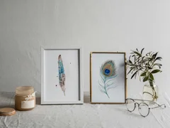 Image of a feather watercolor painting by Shayna Larsen, originals & prints available