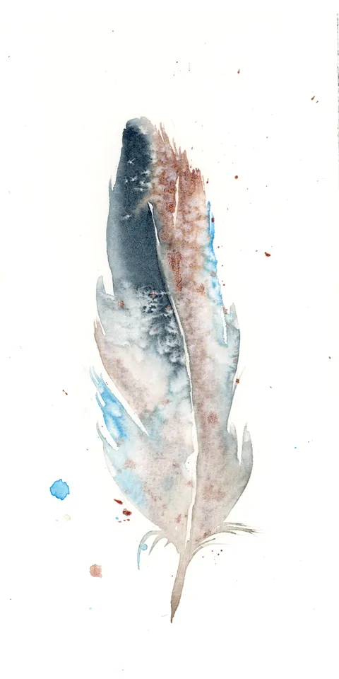 Image of a feather watercolor painting by Shayna Larsen, originals & prints available
