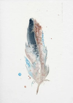 Image of a feather watercolor painting by Shayna Larsen, originals & prints available