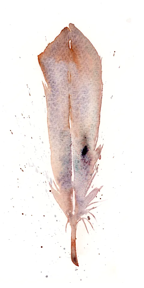 Image of a feather watercolor painting by Shayna Larsen, originals & prints available