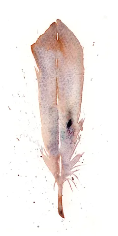Image of a feather watercolor painting by Shayna Larsen, originals & prints available