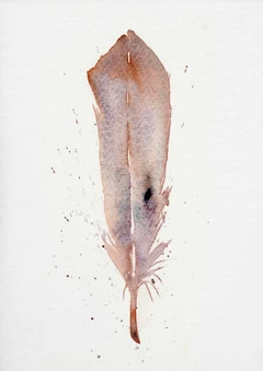 Image of a feather watercolor painting by Shayna Larsen, originals & prints available